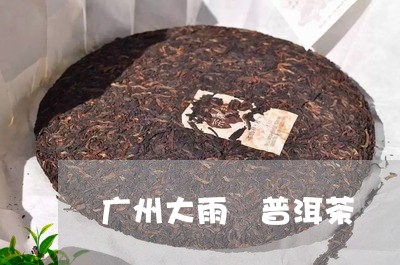 广州大雨 普洱茶/2023041167261